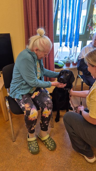 Wir bekamen Besuch von unserem Therapiehund – Bild 3